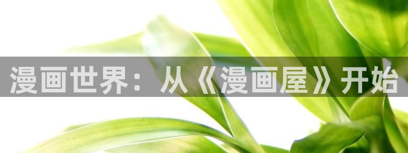 漫画屋最新入口