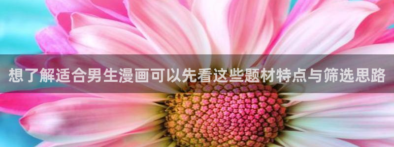 新新漫画官网入口