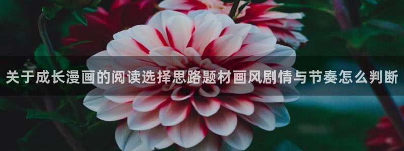 新新漫画免费观看